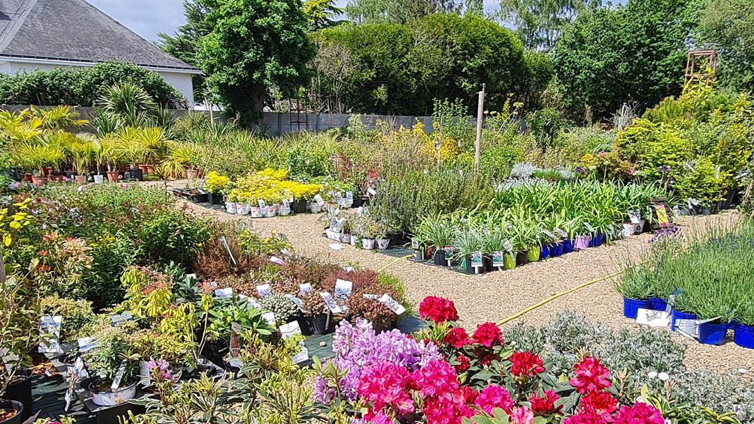 Magasin JARDINERIE LEROUX - Saint-Nazaire (44600) Visuel 6