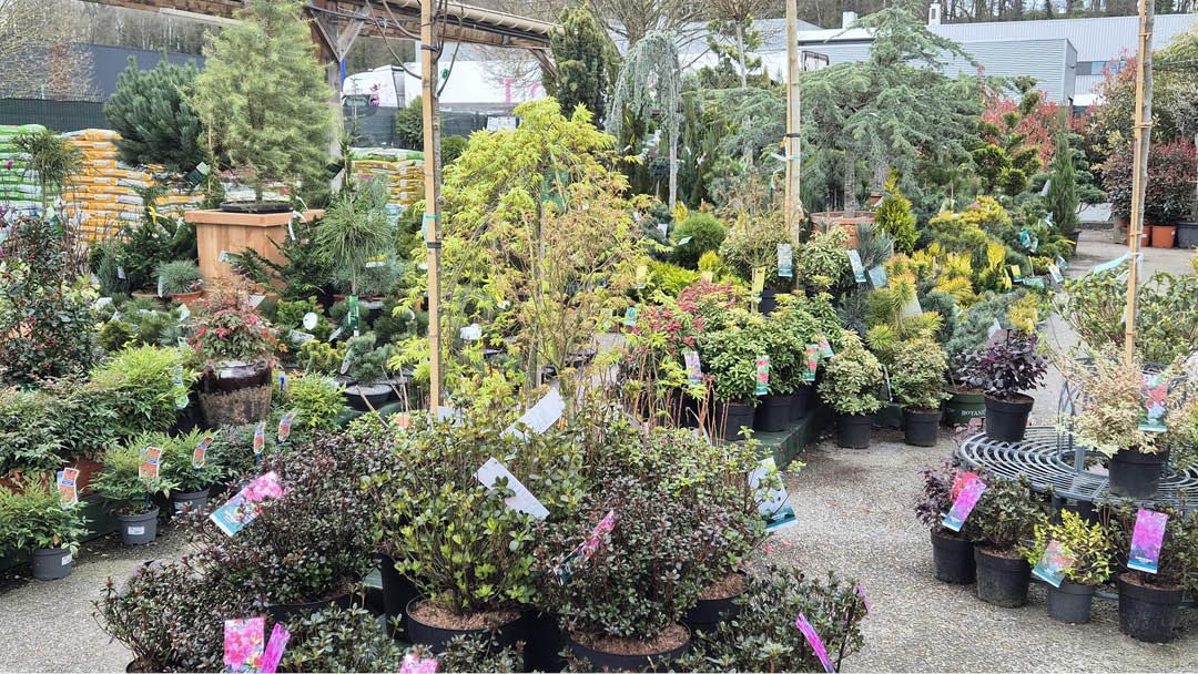 Magasin JARDINERIE DES 3 FRONTIERES - Sierentz (68510) Visuel 6