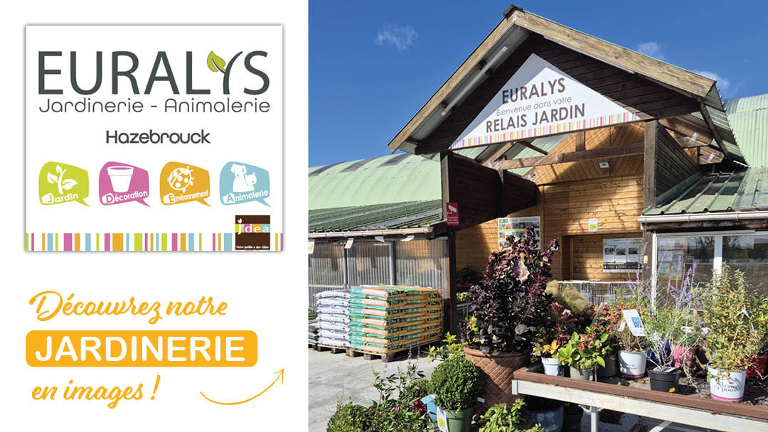 Magasin JARDINERIE EURALYS HAZEBROUCK - Hazebrouck (59190) Visuel 1