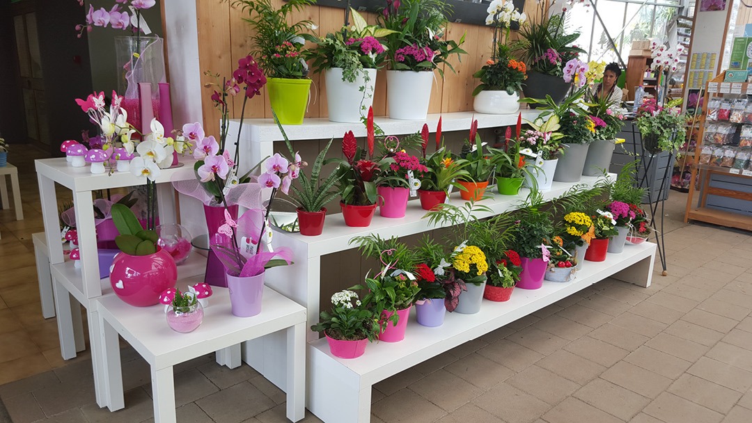 Magasin JARDINERIE DES PEPINIERES CHATELAIN - Le Thillay (95500) Visuel 5