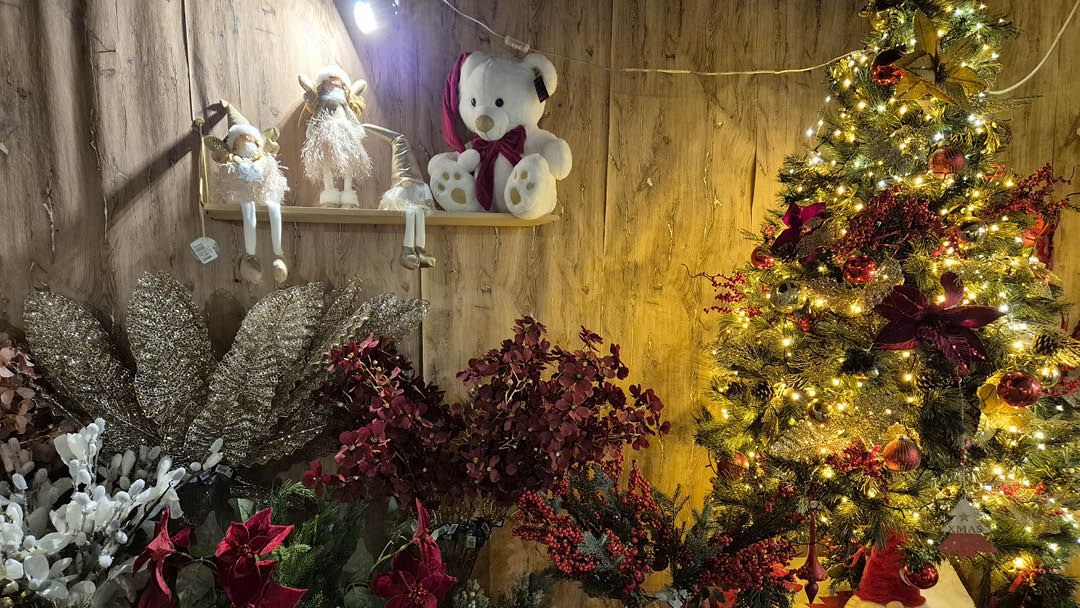 Magasin LES SERRES LANSON - Jargeau (45150) Visuel 6