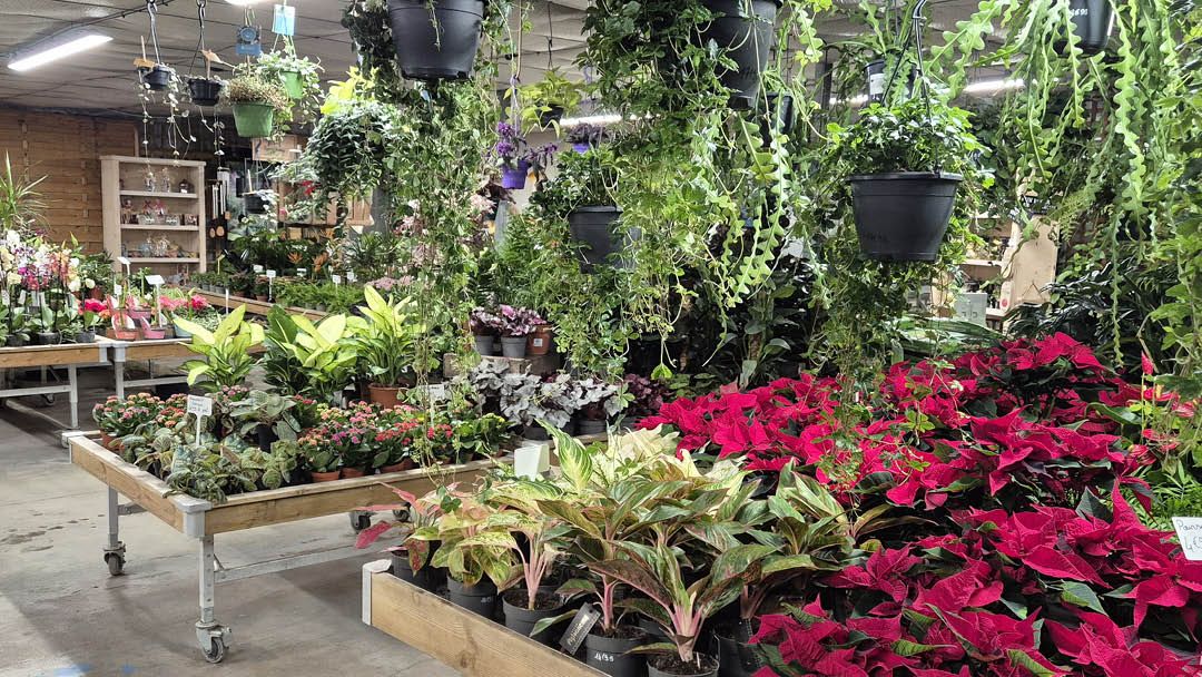 Magasin JARDINERIE TRIPLET - Ménesqueville (27850) Visuel 6