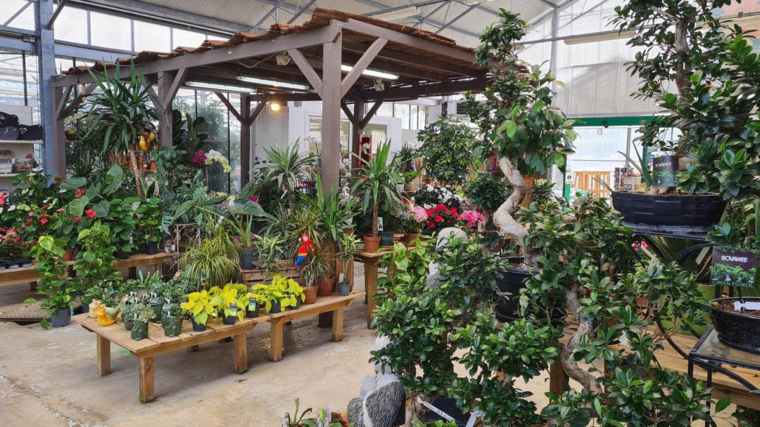 Magasin LES SERRES DREZET BETHONCOURT - Bethoncourt (25200) Visuel 4