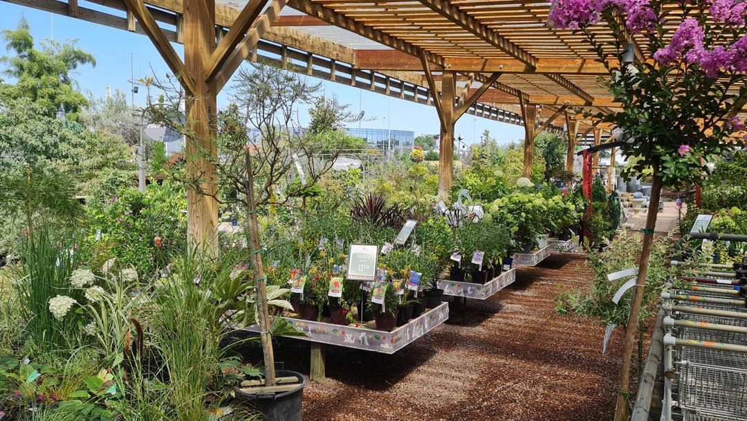 Magasin JARDINERIE DU BOIS PARIS - Chartres (28630) Visuel 6