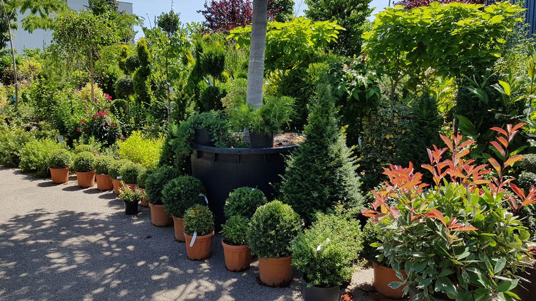 Magasin LES JARDINS DE LA COTIERE - Beynost (01700) Visuel 6