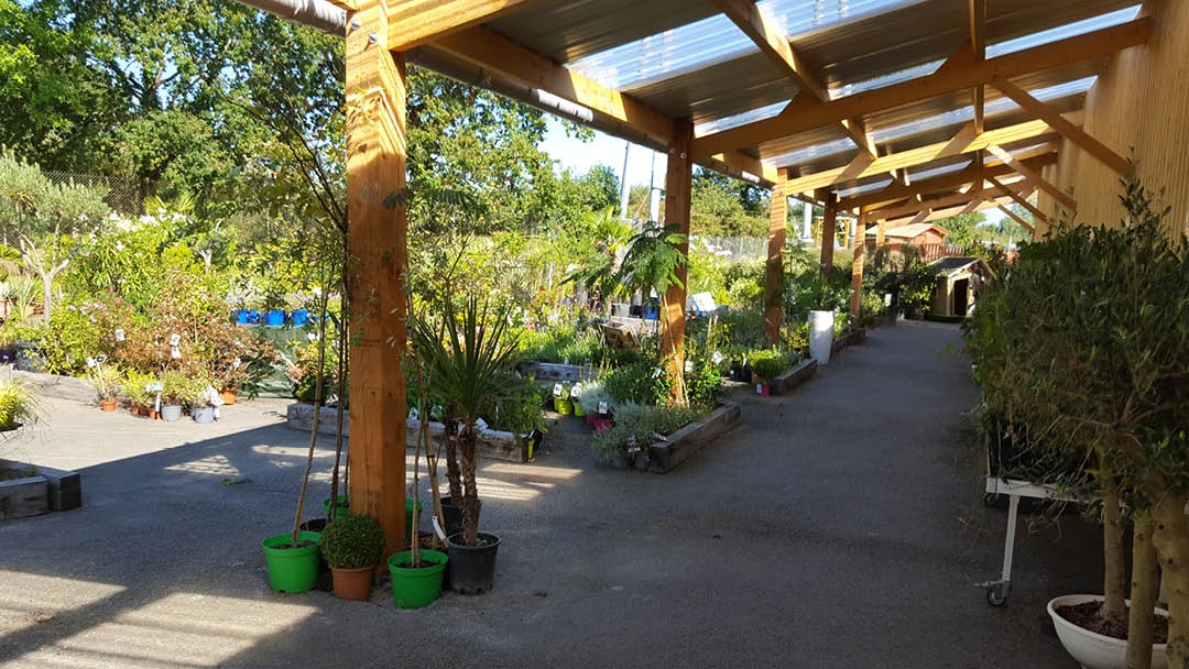 Magasin JARDINERIE SOCALI MARCHE PAYSAN - Saint-Nazaire (44600) Visuel 3