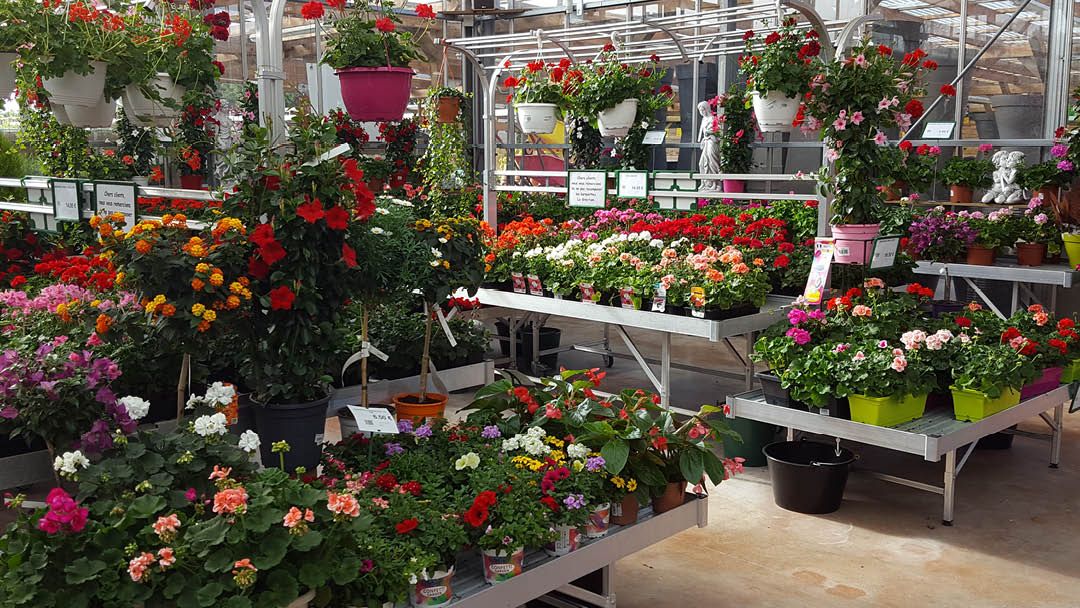 Magasin JARDINERIE DU CAP VERT - Gonneville-sur-Mer (14510) Visuel 3