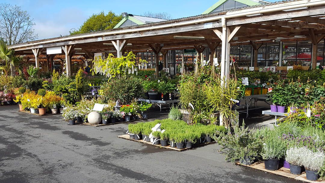 Magasin JARDINERIE DU CAP VERT - Gonneville-sur-Mer (14510) Visuel 6