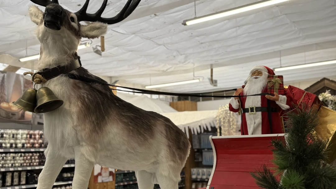 Magasin JARDINERIE SCAEL - Ligné (44850) Visuel 4