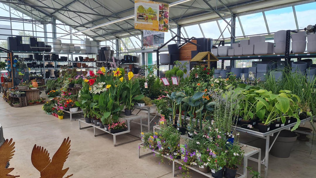 Magasin JARDINERIE EURALYS LA GORGUE - La Gorgue (59253) Visuel 3