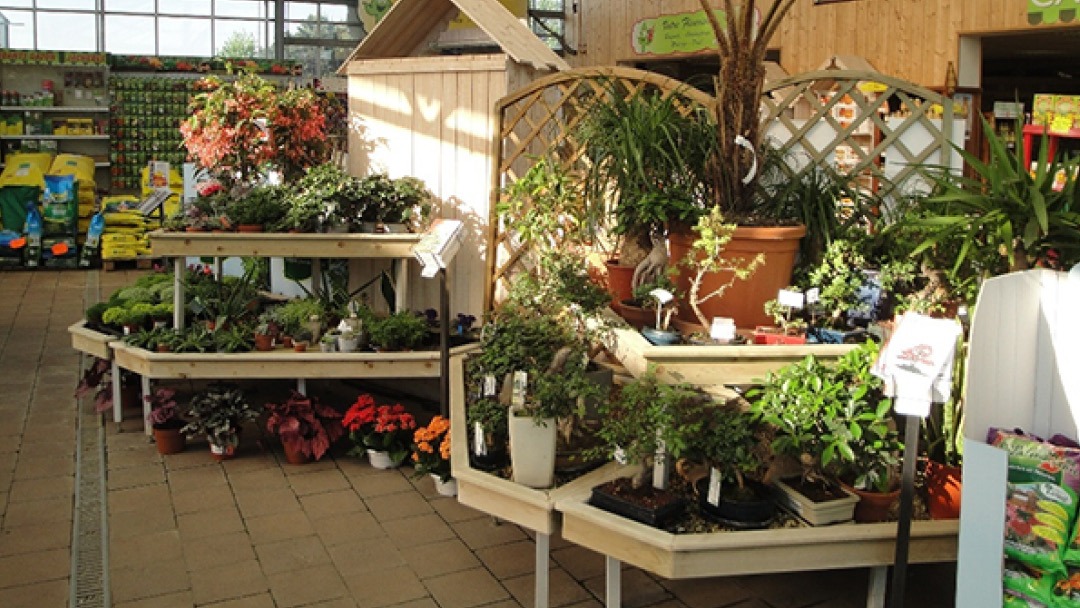 Magasin JARDINERIE DES PEPINIERES CHATELAIN - Le Thillay (95500) Visuel 2