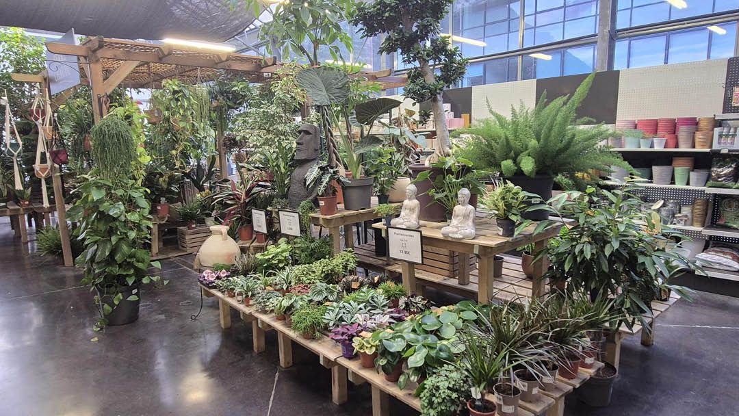 Magasin JARDINERIE GARDEN CENTRE VEYRAT - Thônes (74230) Visuel 2