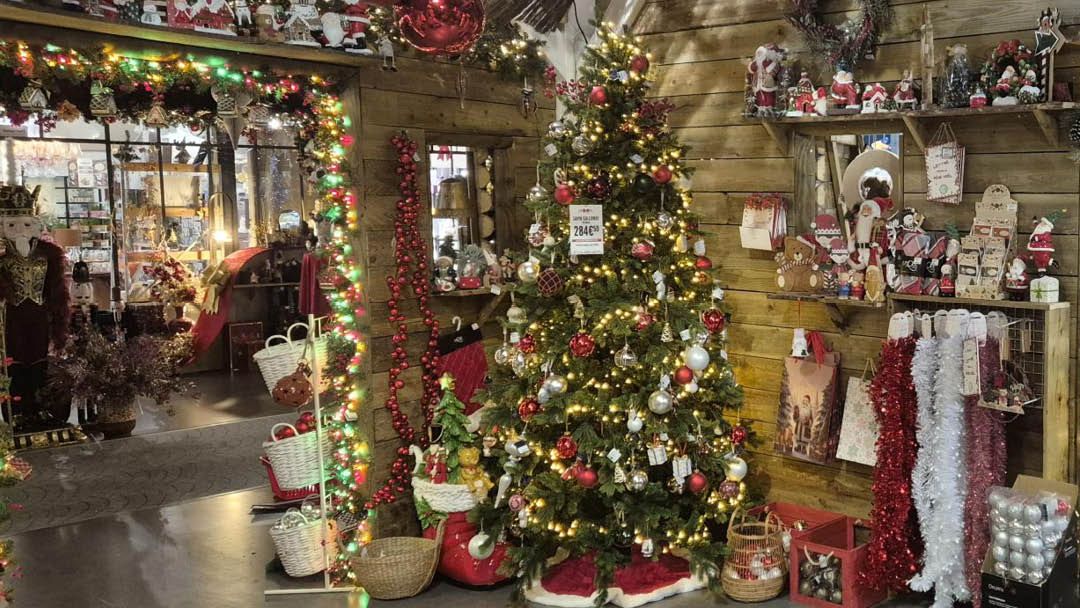 Magasin JARDINERIE DU BOIS PARIS - Chartres (28630) Visuel 4