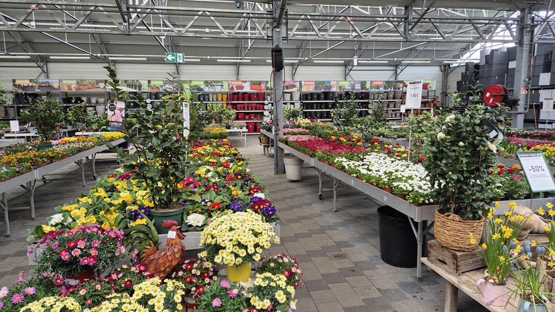 Magasin JARDINERIE DES 3 FRONTIERES - Sierentz (68510) Visuel 4