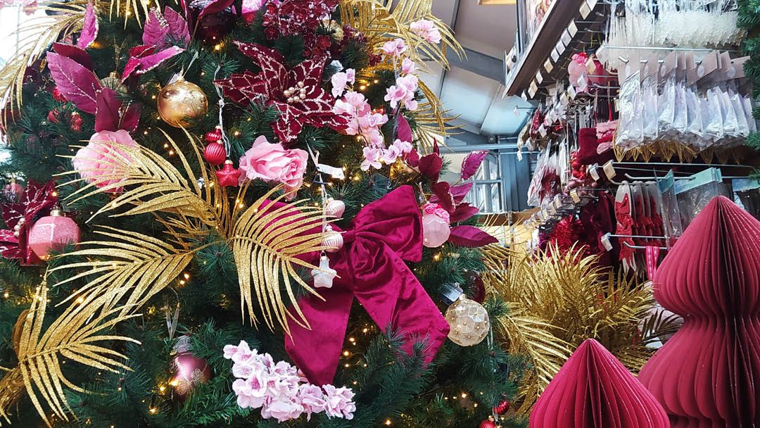 Magasin JARDINERIE PLAISIRS VERTS - Sevrier (74320) Visuel 2