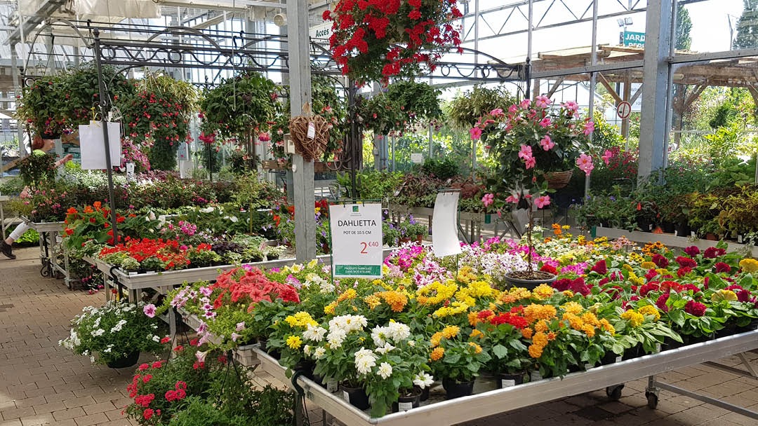 Magasin LES JARDINS DU SONNENHOF - Oberhoffen-sur-Moder (67240) Visuel 3