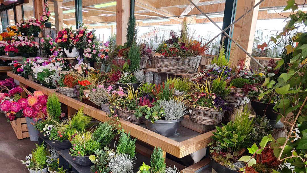 Magasin LES JARDINS COMTOIS SAS - Les Fins (25500) Visuel 5