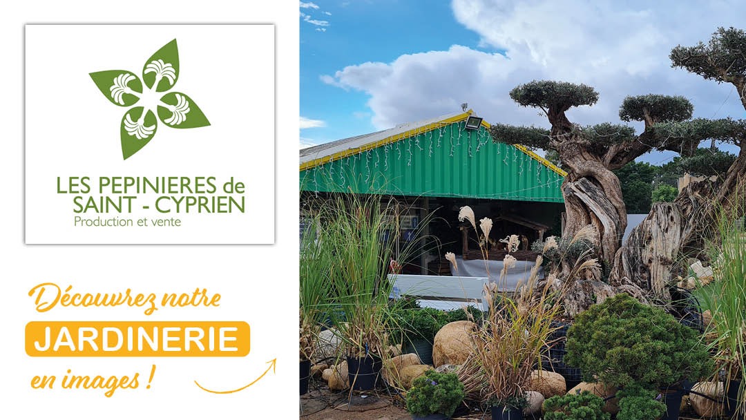 Magasin JARDINERIE PEPINIERES DE SAINT CYPRIEN - Lecci (20137) Visuel 1