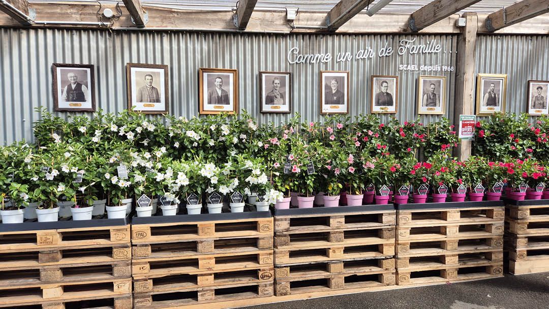 Magasin JARDINERIE SCAEL - Ligné (44850) Visuel 2