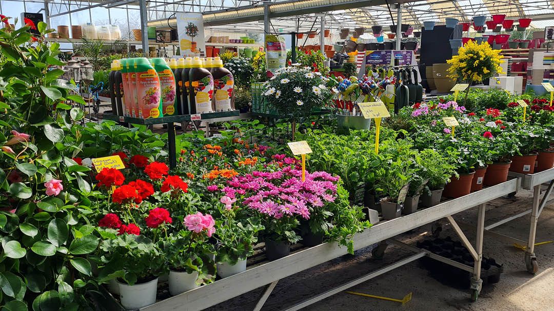 Magasin JARDINERIE TRIPLET - Ménesqueville (27850) Visuel 3