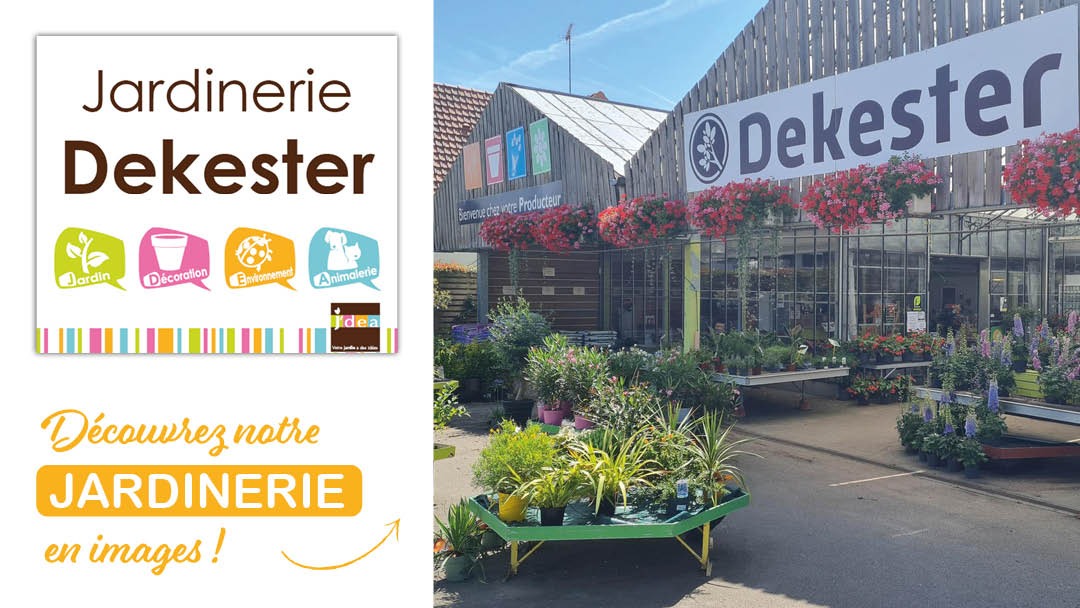 Magasin JARDINERIE DEKESTER - Granvilliers (60210) Visuel 1