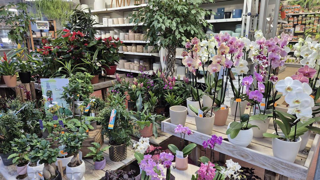 Magasin JARDINERIE LEROUX - Saint-Nazaire (44600) Visuel 2