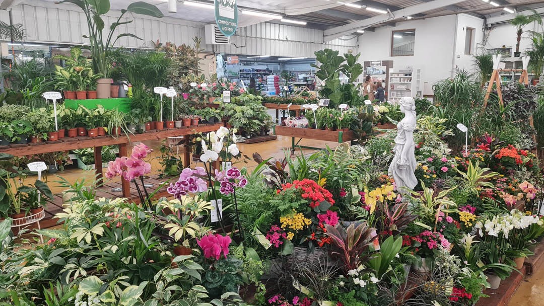 Magasin JARDINERIES D'ICI CHELLES - Chelles (77500) Visuel 2