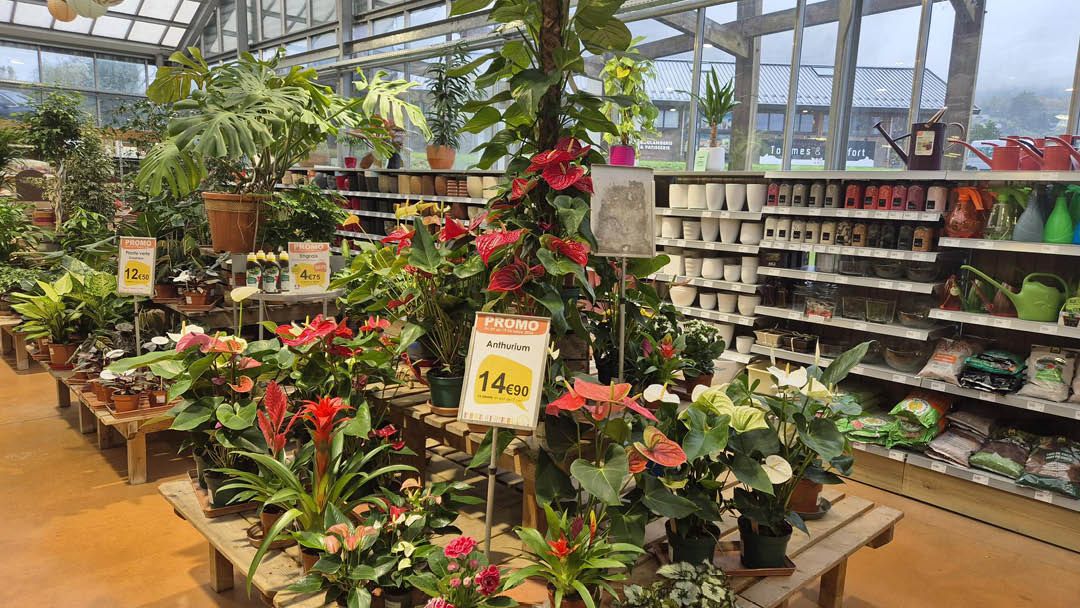 Magasin JARDINERIE PLAISIRS VERTS - Sevrier (74320) Visuel 2