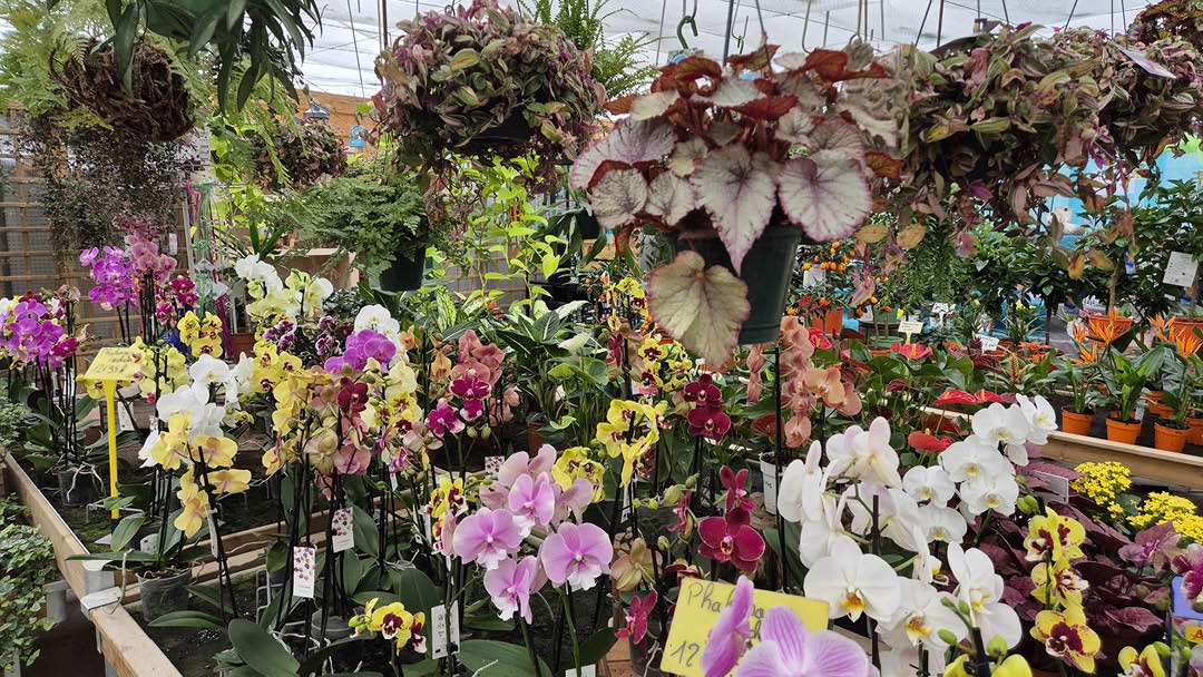 Magasin JARDINERIE TRIPLET - Ménesqueville (27850) Visuel 2