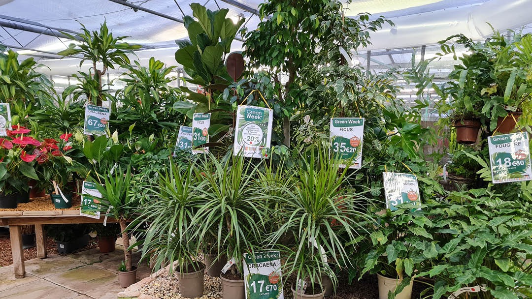 Magasin JARDINERIE WOHLGEMUTH - Iville (27110) Visuel 2
