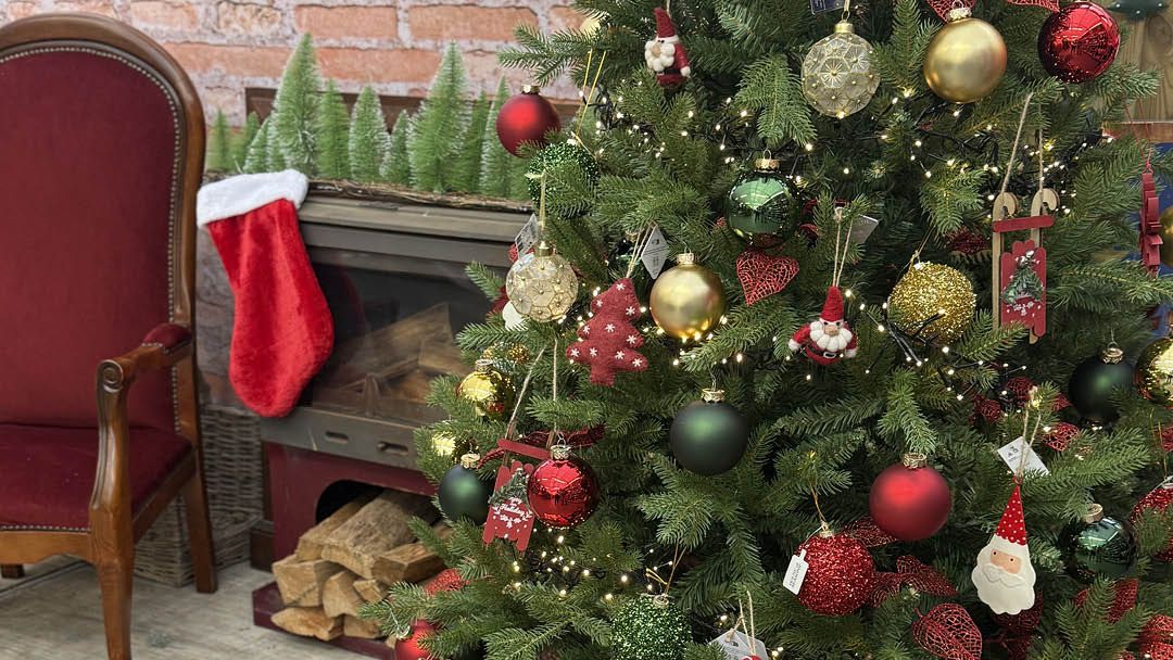 Magasin JARDINERIE SCAEL - Ligné (44850) Visuel 2