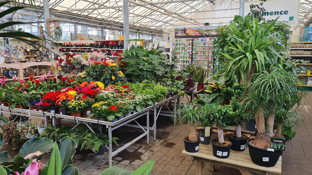 Magasin LES JARDINS DU SONNENHOF - Oberhoffen-sur-Moder (67240) Visuel 2