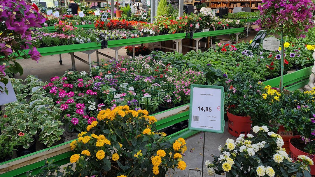 Magasin LES JARDINS DE GRAND LIEU - Pont-Saint-Martin (44860) Visuel 5